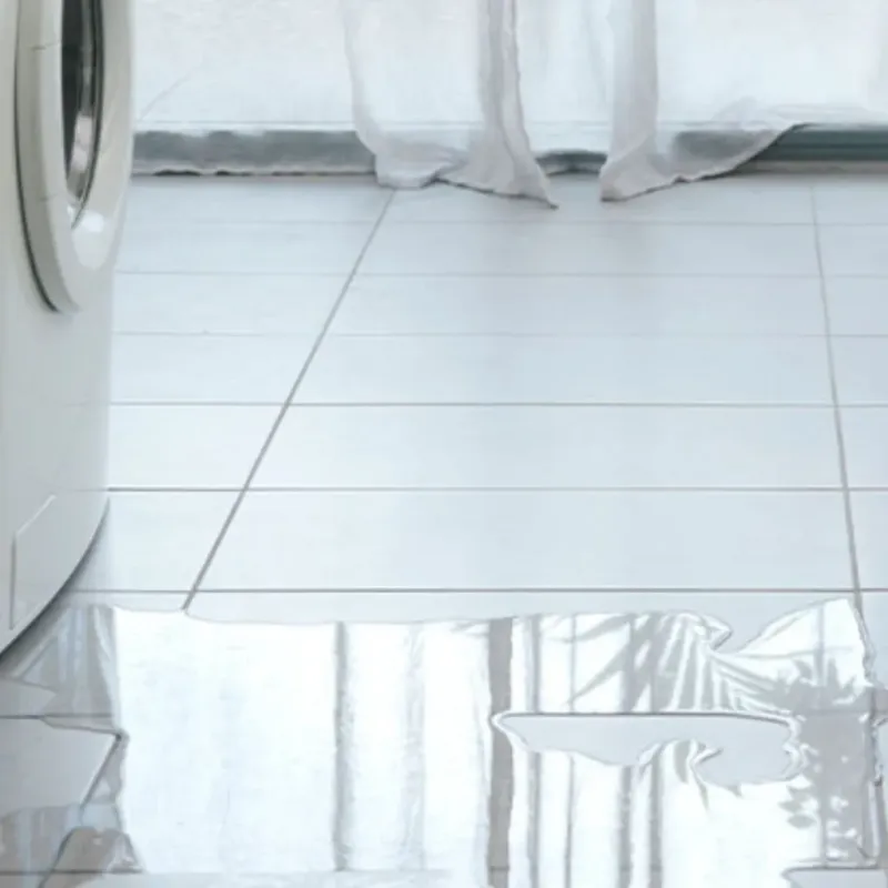 Appliance Leak Cleanup in China, ME