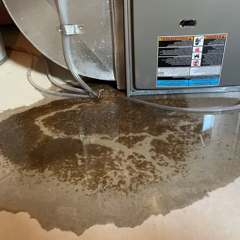 Pipe Burst and Leak Restoration in China, ME