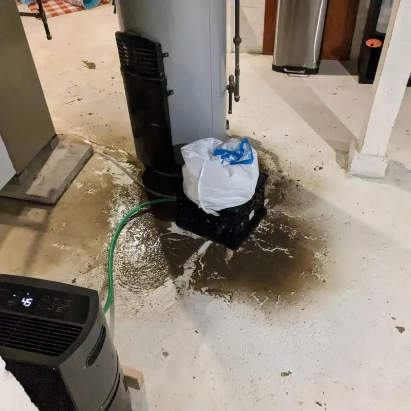 Sewage Backup Cleanup Service in China, ME